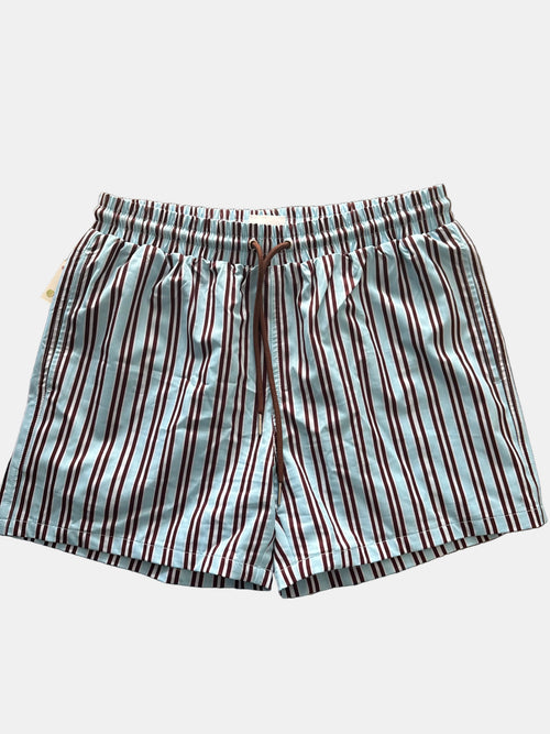 Alexa Multi-Striped Men Shorts